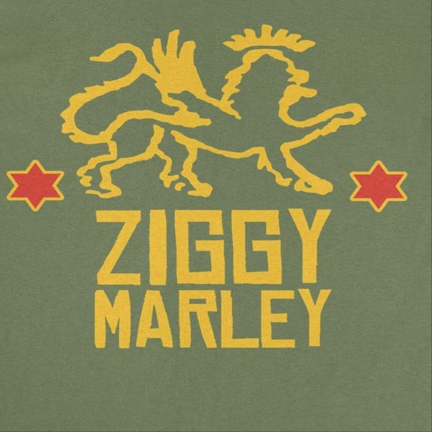 Bob & Ziggy Marley - AMPED