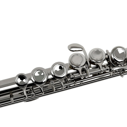 SLADE LDF-660 Professional Flute