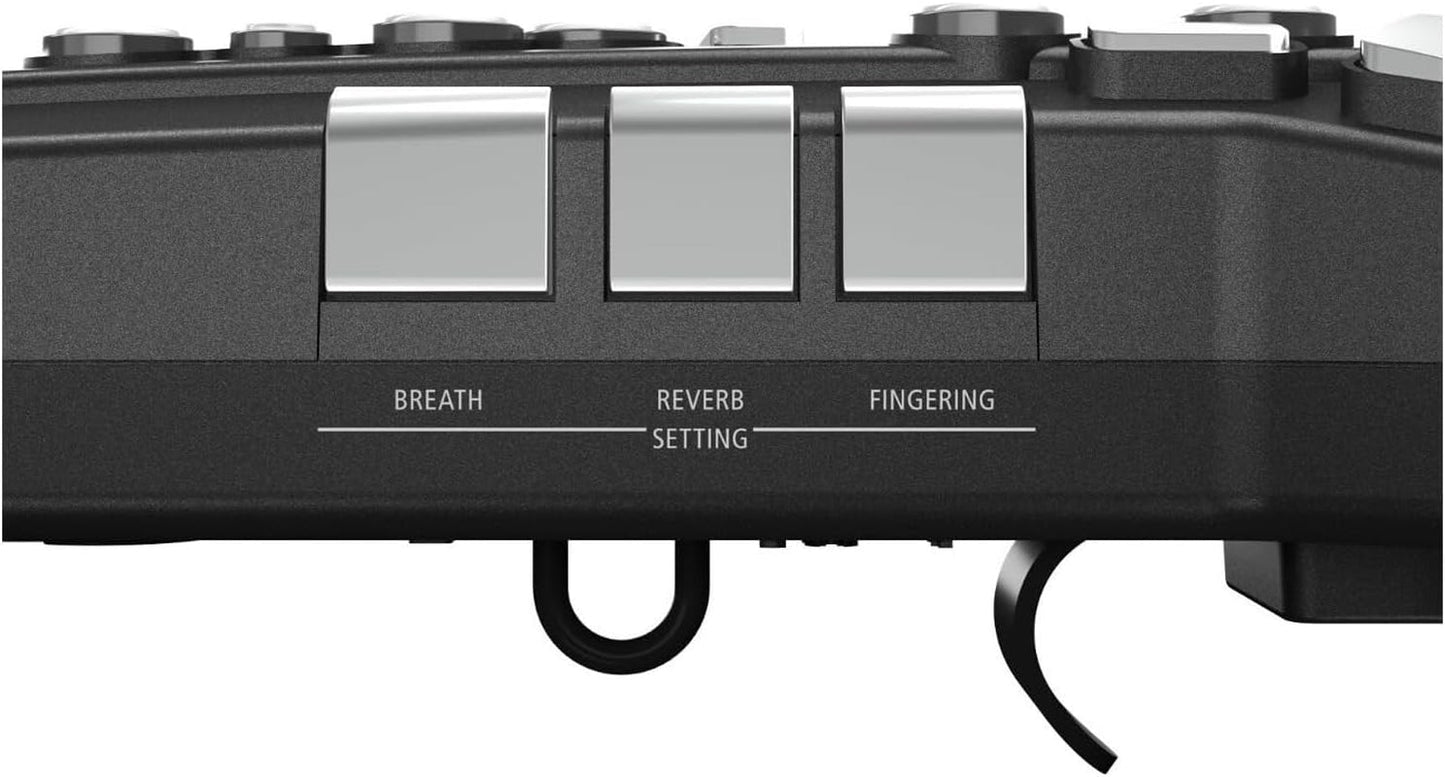AE - 05 Aerophone GO Digital Wind - AMPED