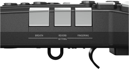 AE - 05 Aerophone GO Digital Wind - AMPED