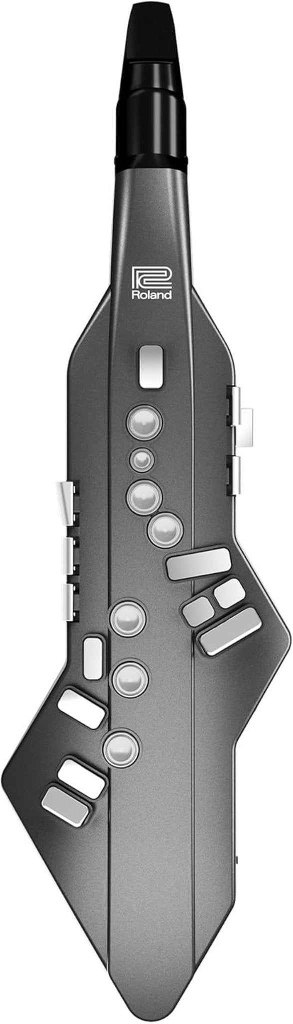 AE - 05 Aerophone GO Digital Wind - AMPED