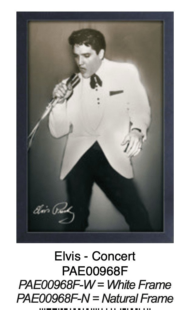 Concert – Elvis Presley | 11×17 Poster - AMPED