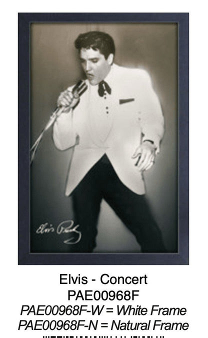 Concert – Elvis Presley | 11×17 Poster - AMPED
