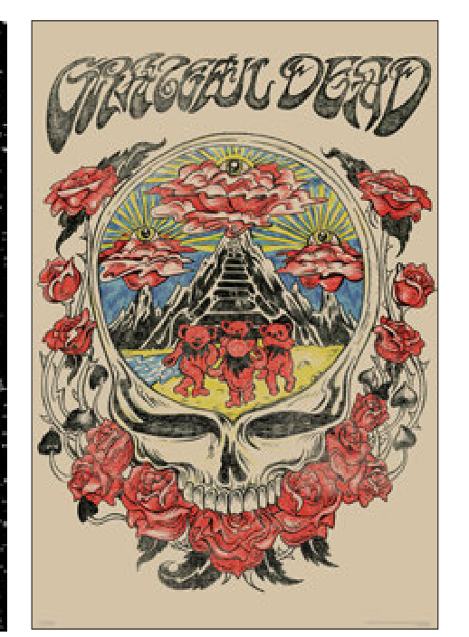 Grateful Dead – Skull Vision 24x36 Poster - AMPED