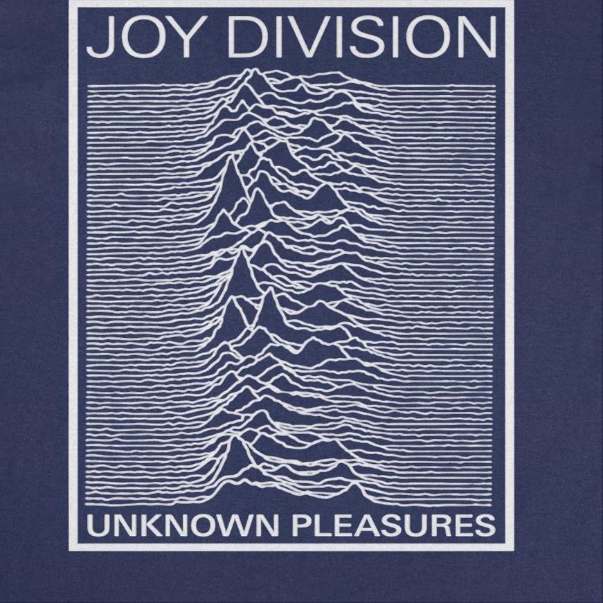 Joy Division Unknown Pleasures Frame T-Shirt - AMPED