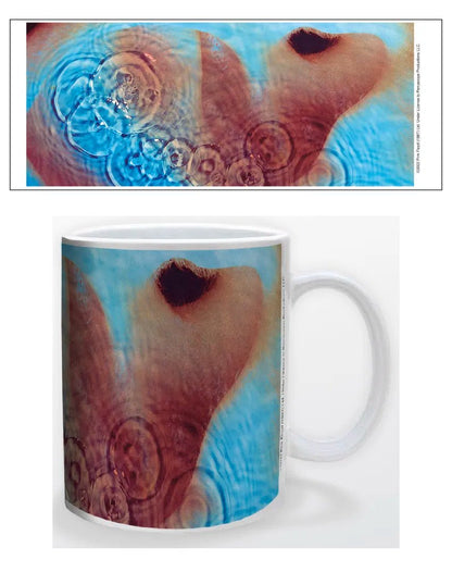 Pink Floyd Meddle Mug - AMPED