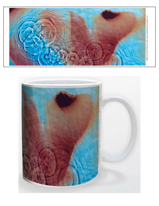 Pink Floyd Meddle Mug - AMPED