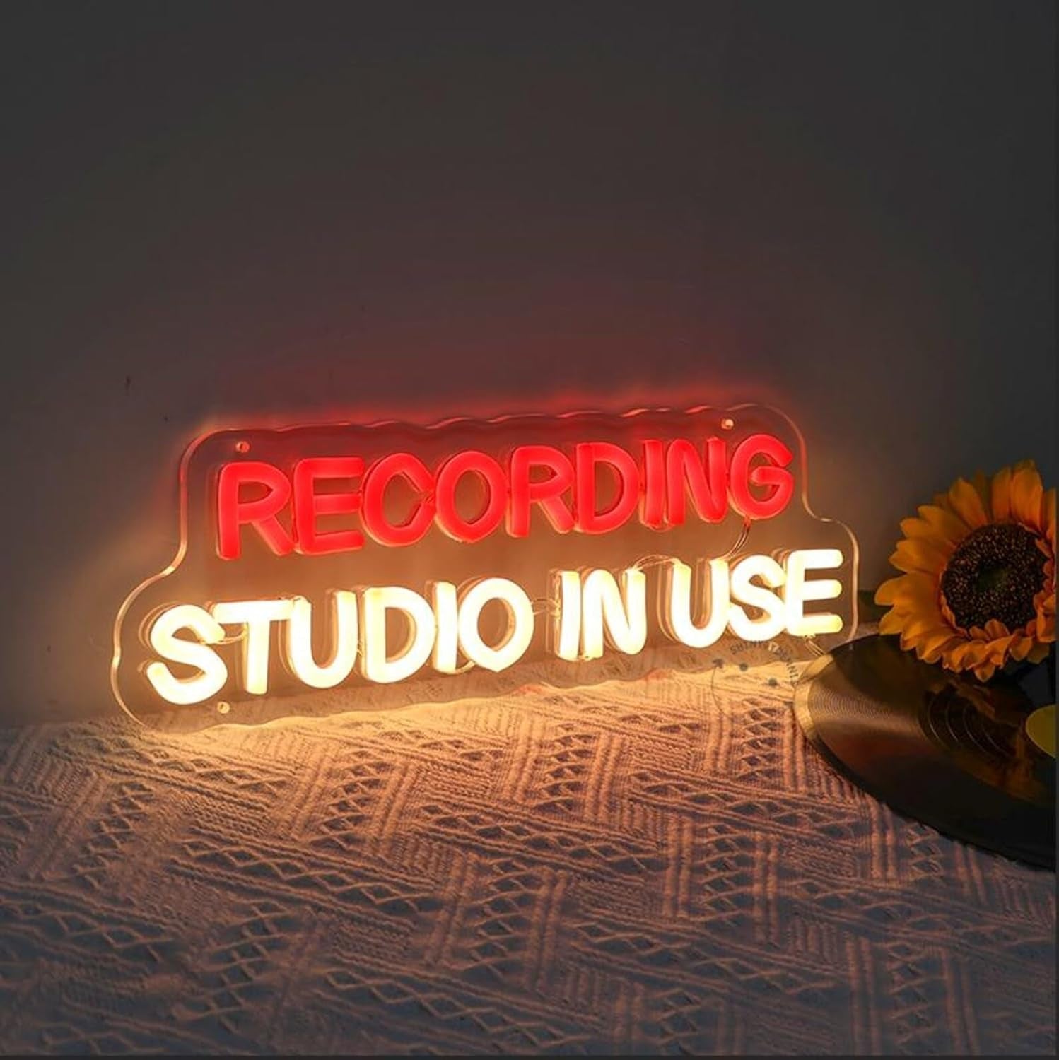 Studio In Session Neon Sign – Dimmable Recording Light - AMPED