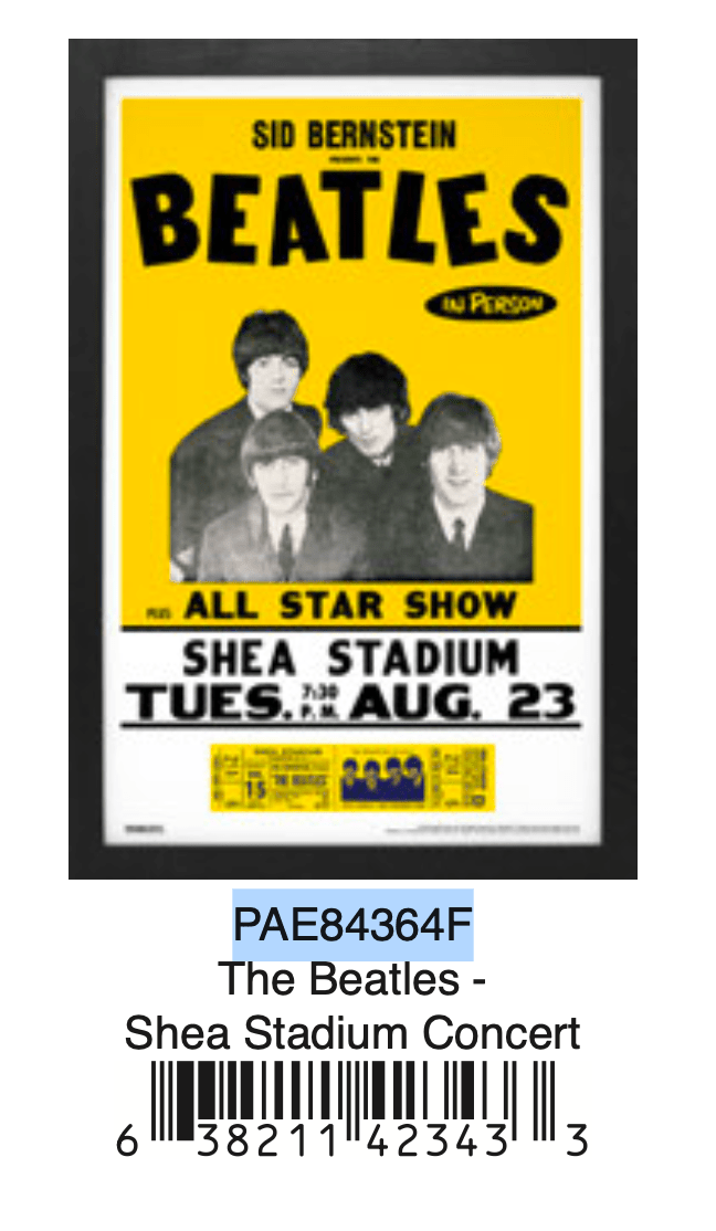The Beatles – Shea Stadium Concert (1965) Poster 11x17 - AMPED