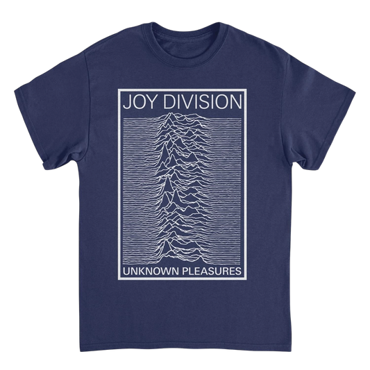 Joy Division Unknown Pleasures Frame T-Shirt