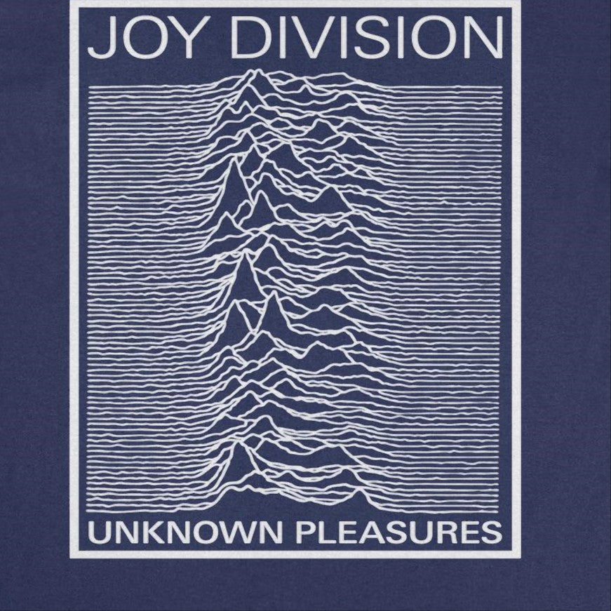 Joy Division Unknown Pleasures Frame T-Shirt