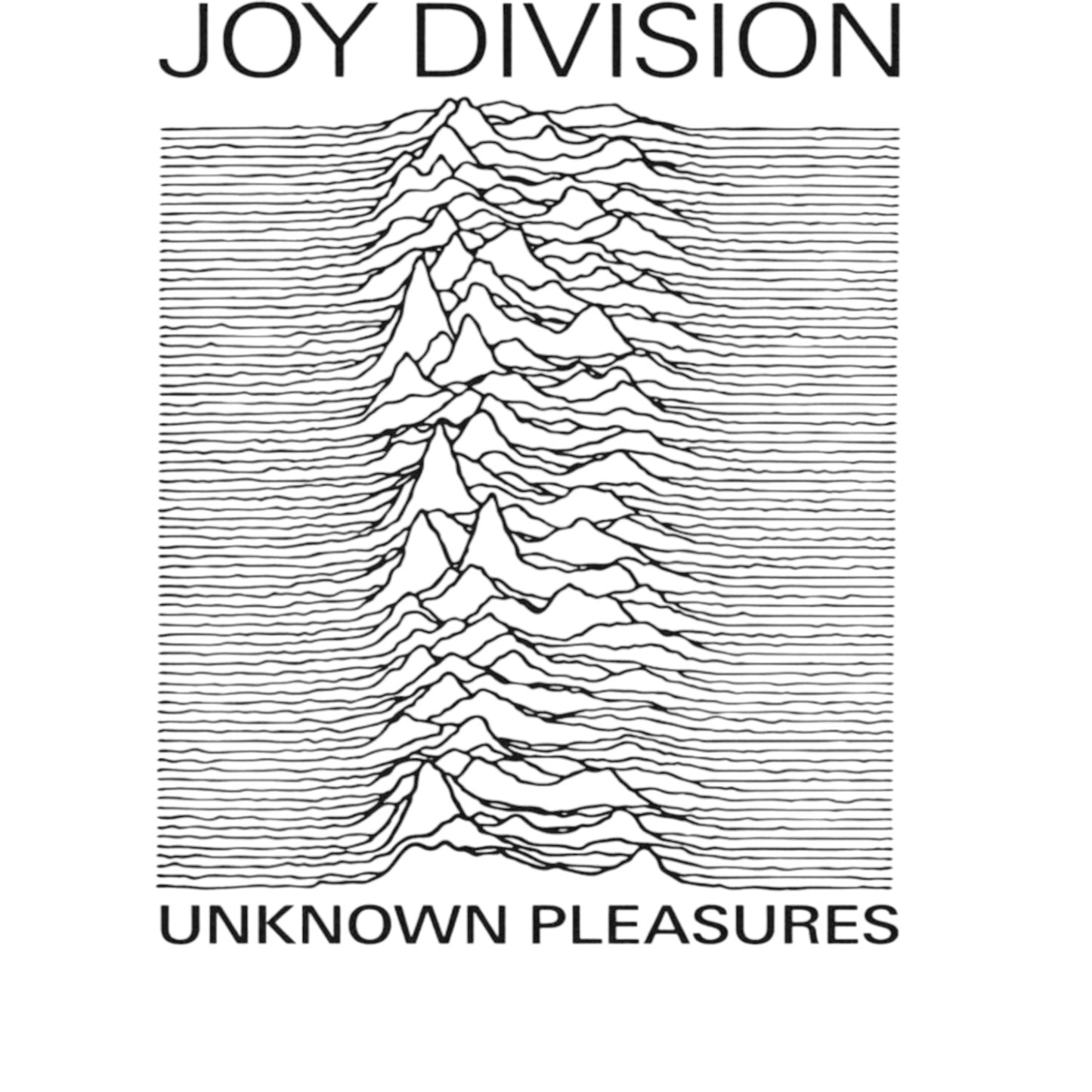Joy Division Unknown Pleasures Titles T-Shirt