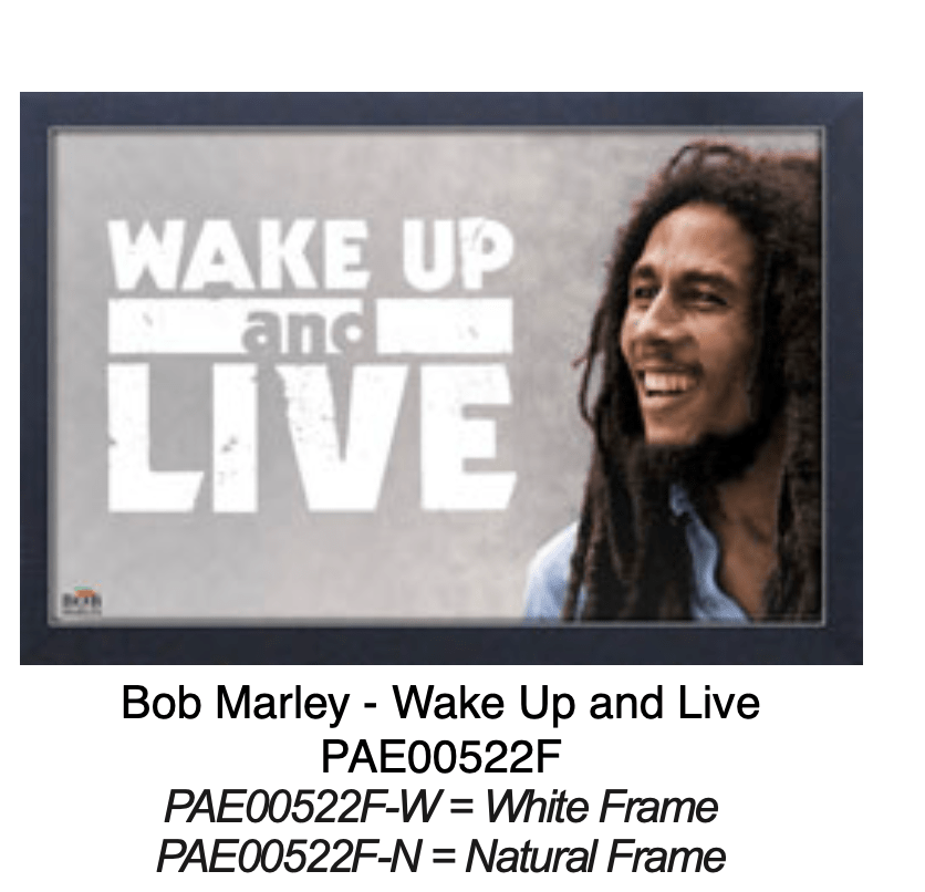 Wake Up and LIVE - Bob Marley Poster 11 x 17 - AMPED